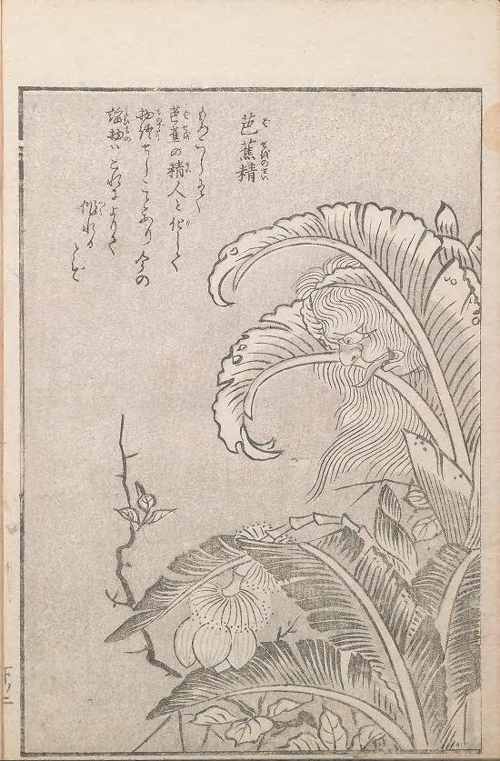 And of course, the  @SILibraries holds several works by Toriyama Sekien, the yokai artist that  @briamgilbert talks about in his video! Get ready for plant demons, scribal gremlins, and general spoopiness:  https://library.si.edu/digital-library/book/hyakkishuyiv3tori