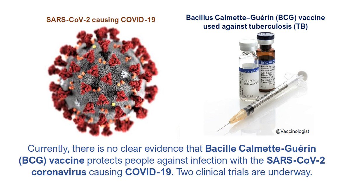 Sars 2 вакцина. Кальметта-Герена. Bacillus Calmette Guerin (BCG). BCG микробиология. Бацилла Кальметта — Герена или BACILLUSCALMETTE—Guérin, BCG.