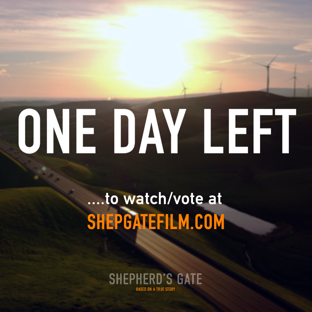 shepgatefilm's tweet photo. ONE DAY LEFT to watch/vote for our film in @FirstGlanceFilm's online contest (go to https://t.co/JGREk1R0WN)
#supportindiefilm #shortfilm #online #filmfestivals #whattowatch #womensshelter #womeninfilm #livermore #altamontpass #shepherdsgate #twitterfilm #MondayMotivaton #films https://t.co/5mBTuGWfkL