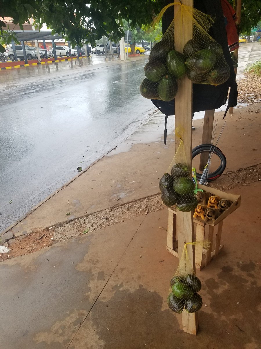 Bill_Anhamemby's tweet photo. Gente estoy vendiendo Aguacates criollos 6 uni. x 10 mil gs.
Me quede sin laburo en plena cuarentena no hay de otra q salir a la calle a rebuscarme. Al costado del Hospital de Clínicas San Lorenzo cuidamos los detalles de Sanidad. Si podía me quedaba en casa. se agradece RT. https://t.co/TtEZ4a87Bu