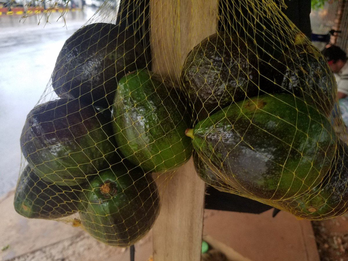 Bill_Anhamemby's tweet photo. Gente estoy vendiendo Aguacates criollos 6 uni. x 10 mil gs.
Me quede sin laburo en plena cuarentena no hay de otra q salir a la calle a rebuscarme. Al costado del Hospital de Clínicas San Lorenzo cuidamos los detalles de Sanidad. Si podía me quedaba en casa. se agradece RT. https://t.co/TtEZ4a87Bu