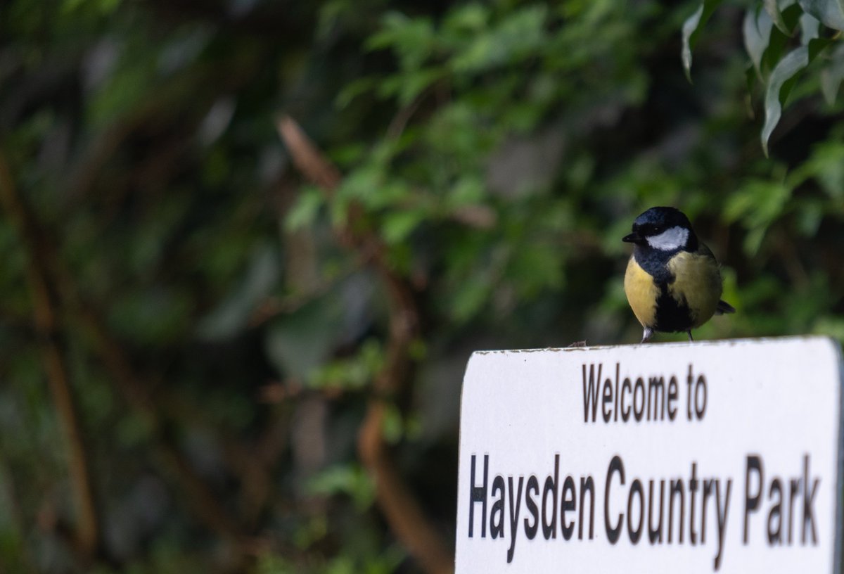 hcpvol's tweet photo. Some photos just have to be taken https://t.co/1wLKz15FTu