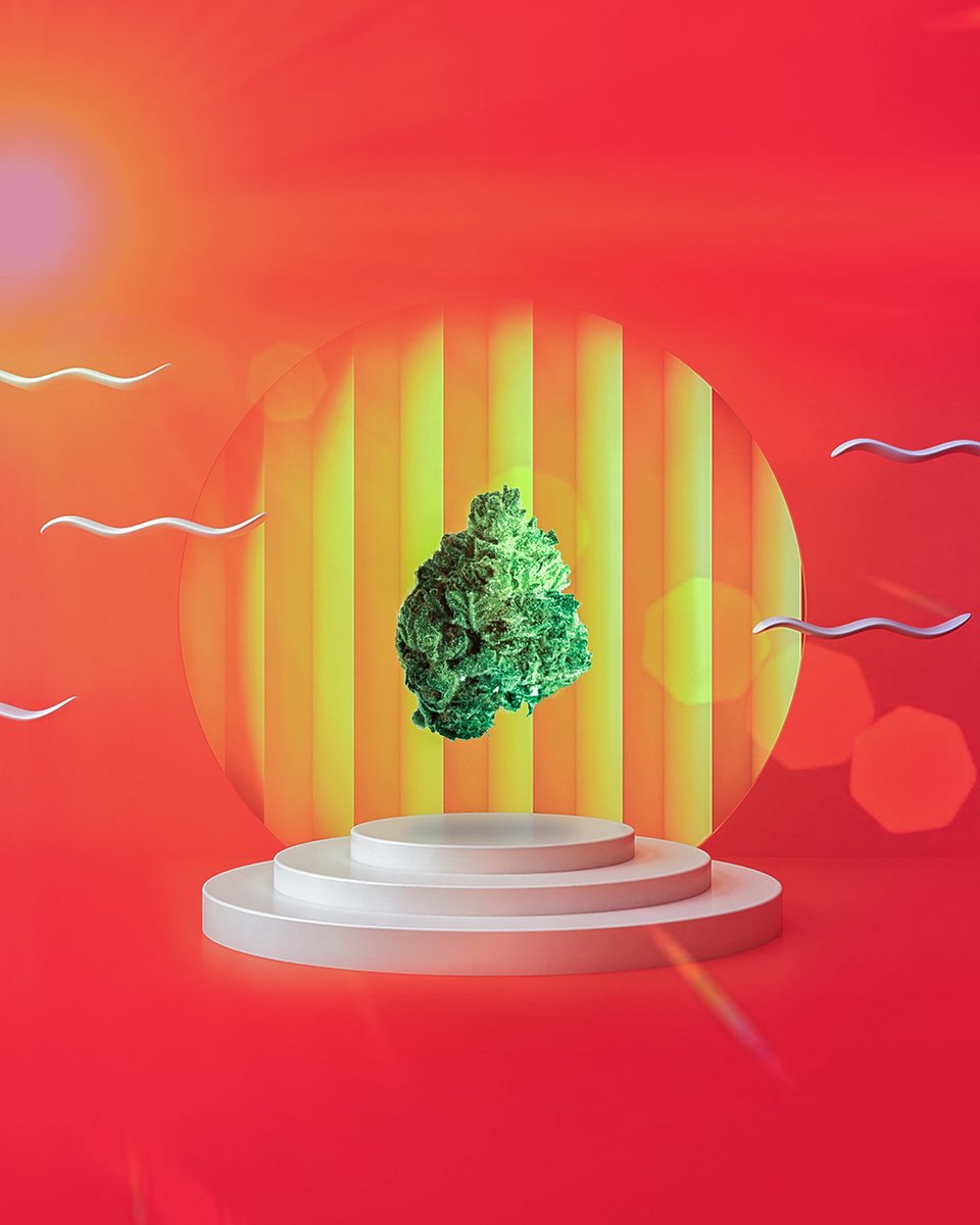 friendlystrnger's tweet photo. We put cannabis on a pedestal π Solei - Renew, a super high THC Sativa-dominant strain. https://t.co/BT2aV4JwlF
Attention Toronto, Oakville, & Mississauaga! Our Burlington store can deliver cannabis to you. Stay home, we're on our way!
#friendlystranger #FSBurlington #FSLondon https://t.co/xFyu5S4Jaq