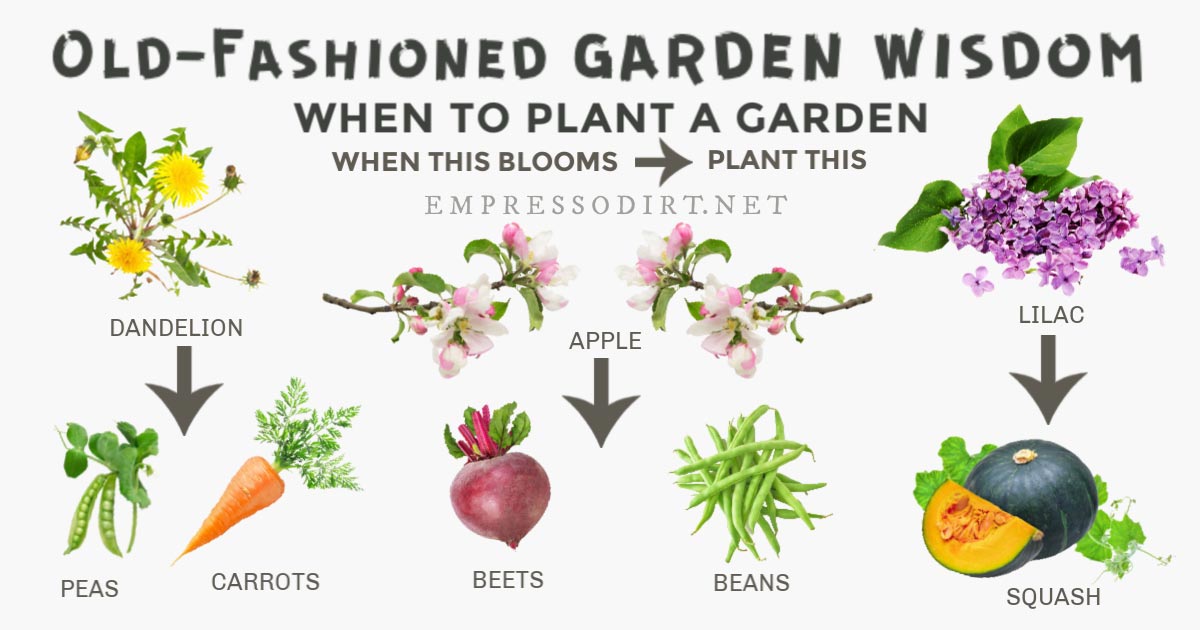 Garden_Therapy's tweet image. Old-Fashioned Garden Advice: Does It Work? dlvr.it/RTjLR5 via @empressofdirt