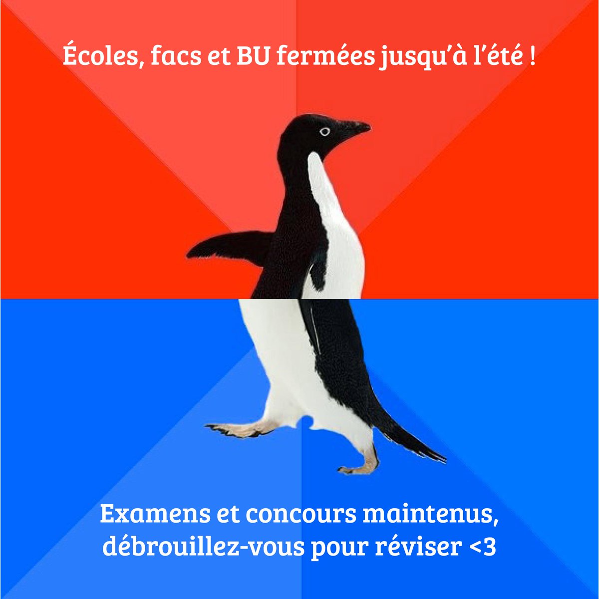 UEC_org's tweet photo. 🔔 Confinement jusqu’au 11 mai.
Qu'avez-vous compris ? 🤔 https://t.co/R10mqSnuIs