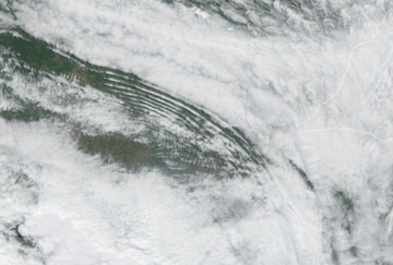 Ver imagen en Twitter