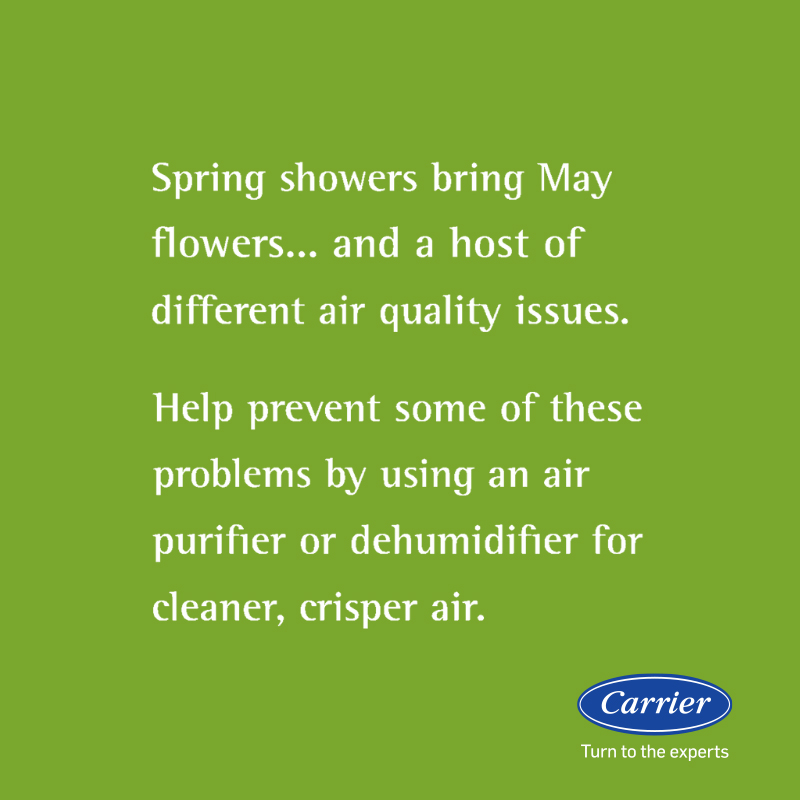 The EPA states that indoor levels of pollutants are often significantly higher than outdoor levels. Improve your home's air quality for increased comfort.