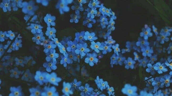 HIGHNostalgia of a past love that you still think about, it marked your life. You& #39;d do everything to arrange things, but it& #39;s late. This love will be always with you and you have to learn to live with it and allow yourself to love someone new with no regrets. Blue vibes