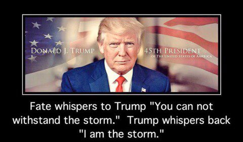 SentTrumpq's tweet image. PRESIDENTDONALDJTRUMP      45th President of The UnitedStatesOfAmerica