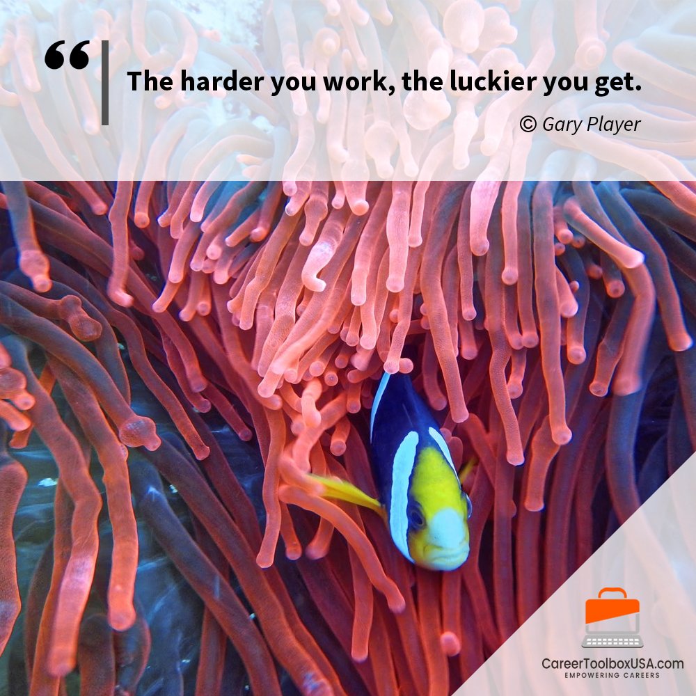 Seek meaning to your life and dedicate your remaining hours, days, and years to that meaning. Your career will thrive like you’ve never imagined.

#CareerCoach #CareerAdvice #CareerChange #JobSearch #PersonalBranding #ResumeTips #CoverLetter #GetHired