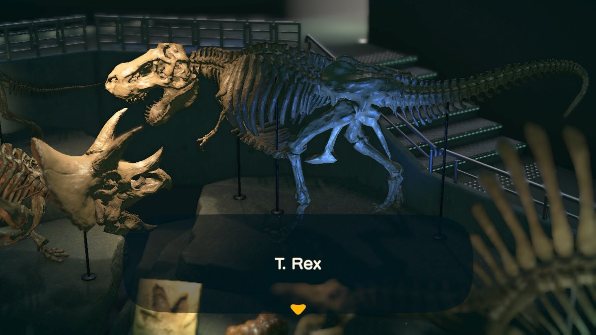 coriepace's tweet photo. T-rex is complete! #AnimalCrossing #ACNH #NintendoSwitch https://t.co/JY3scBt4vp