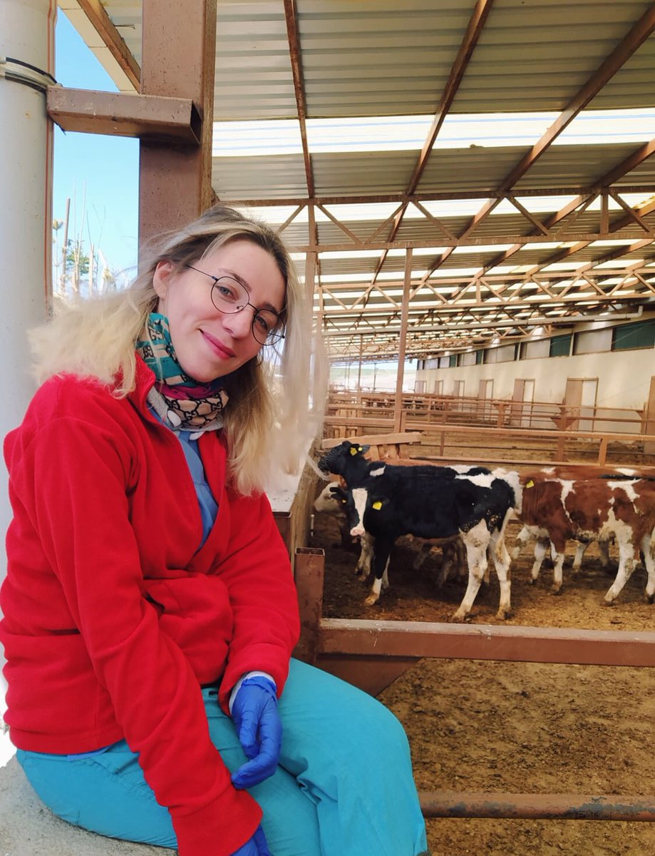 👩🏼‍⚕️💉🐄🐄🐄🐄