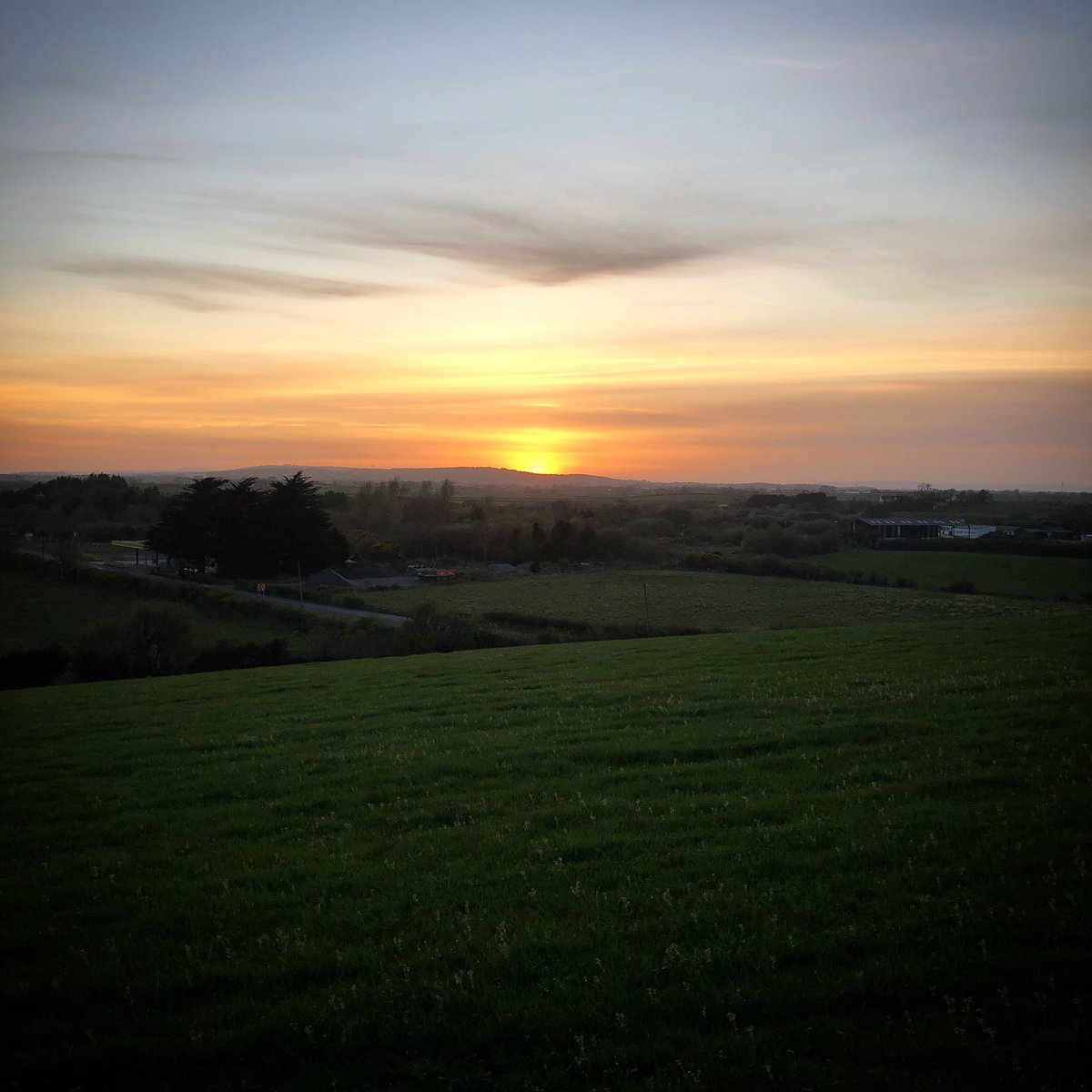Ballyblack Farm. tweet media