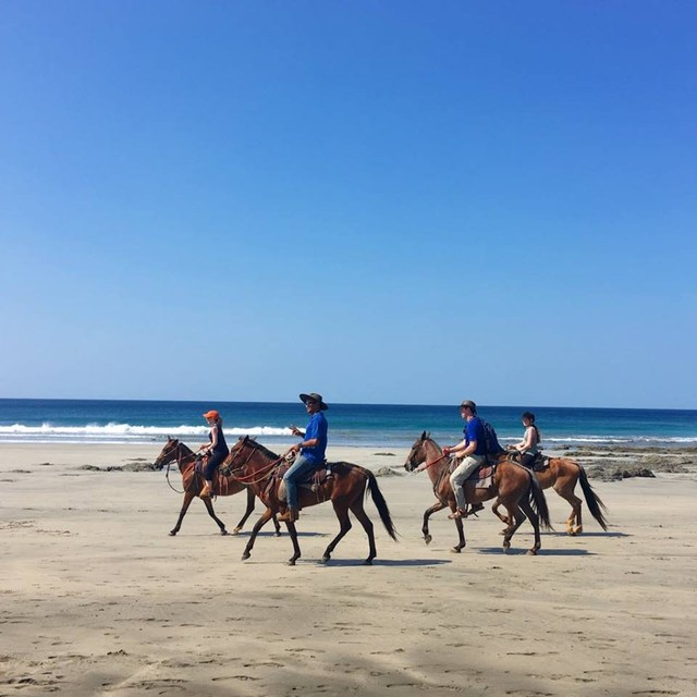 Wavecation's tweet photo. Back when we could still roam...we'll get back there! For now, take advantage of this gift of time to plan your dream trip and all the fun things you'd like to do. 🌊#stayhomeshredlater #wanderlust https://t.co/B5N6nU856F