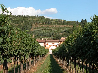 MauroBertolli's tweet photo. 50 anni di Azienda Agricola Valentina Cubi: export, biologico e famiglia

L’azienda della Valpolicella è totalmente certificata dal 2014. 

https://t.co/ahgYpnNvKl

#50anni #ValentinaCubi #export #biologico #valpolicella  #amarone #ripasso #recioto #Fumane #SanPietroinCariano https://t.co/XLAU6gQOtM
