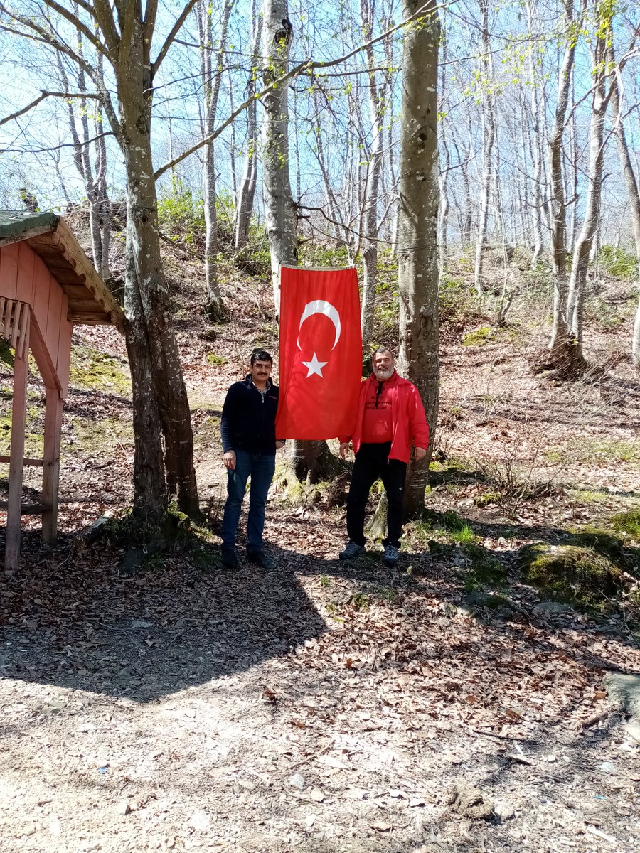 Ferhat Sezginoglu tweet media