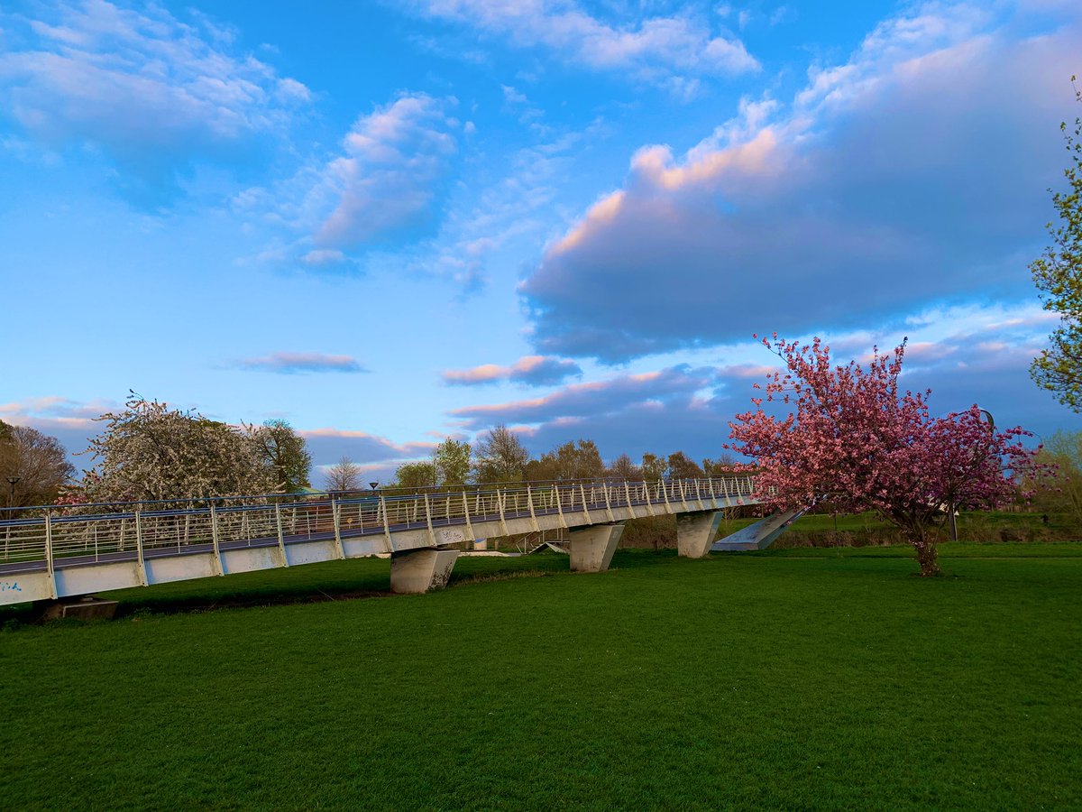 MarcBichtemann's tweet image. A little colour in #YORK today on my assigned exercise walk with the family this evening.
