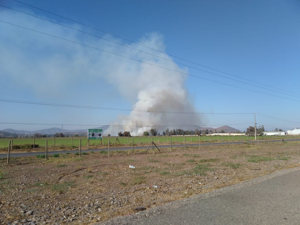 VBomberiles's tweet photo. #BomberosMelipilla

Segunda Alarma Forestal en Caletera Autopista del Sol KM 70 , altura Clinica Los Maitenes 

Material Mayor en el Lugar 

B1 - RX-1 - RB-2 - BF-3 - B4 - Z0- BF-5 - B6 - K1 

[Foto]: Manuel Mellado - Prensa VB
#VideosBomberiles
#FChacon  #VB9 https://t.co/5dz3CnRcq1