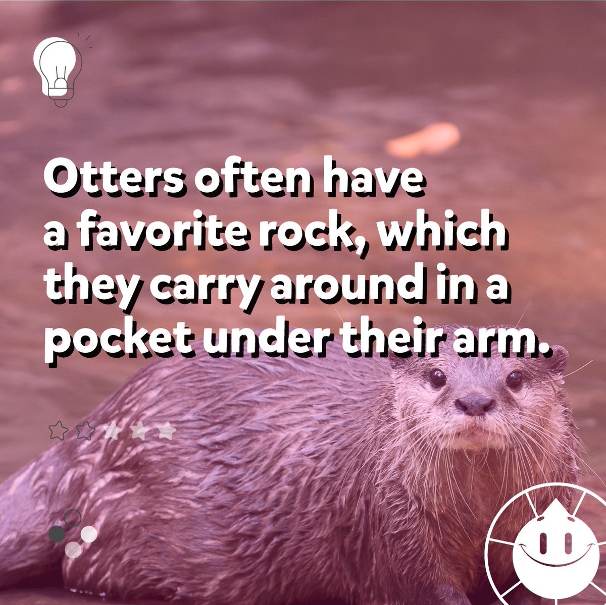 TriviaCrack's tweet photo. They use it as a tool to break open their food 🦦 https://t.co/ZeTNqOERzQ