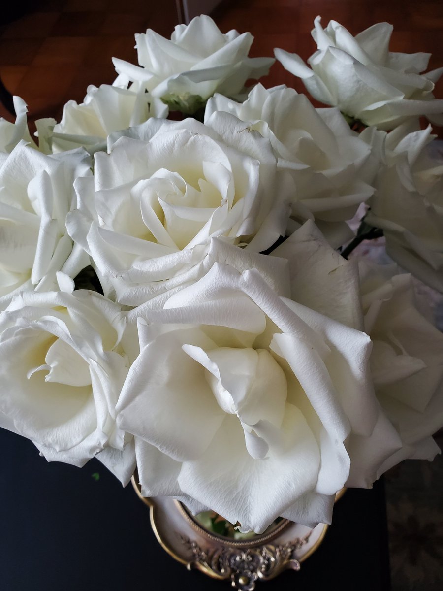 Lori Luster tweet media