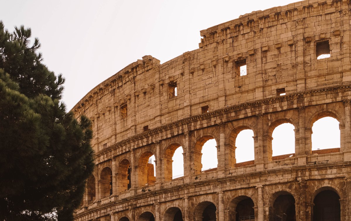 Vedrana Halič tweet media