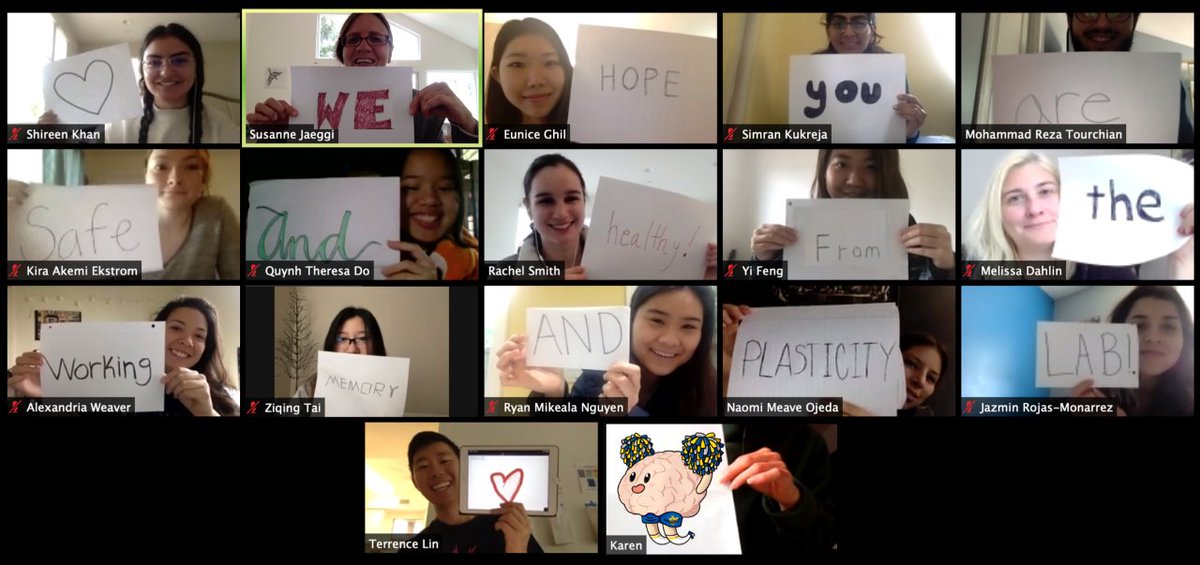 A (Zoom) message from Prof. Susanne Jaeggi's Working Memory and Plasticity Lab.  wmp.education.uci.edu