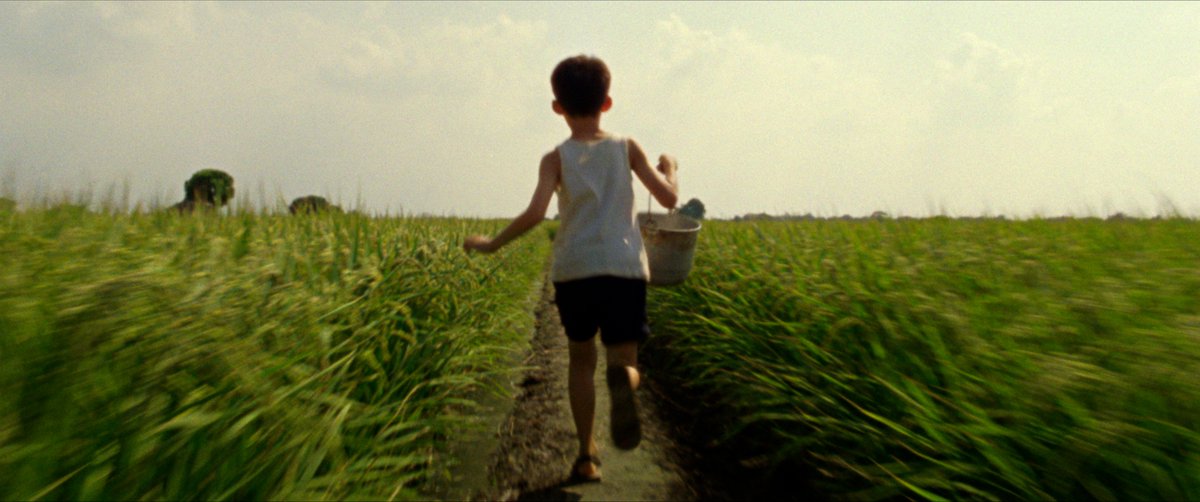 From the rice-paddies to the old-timey streets, TIGERTAIL also captures the rustic beauty of Taiwan, rarely represented in Hollywood. The scenes make me wax nostalgia for my own childhood running around the lush open fields just outside of Taipei.