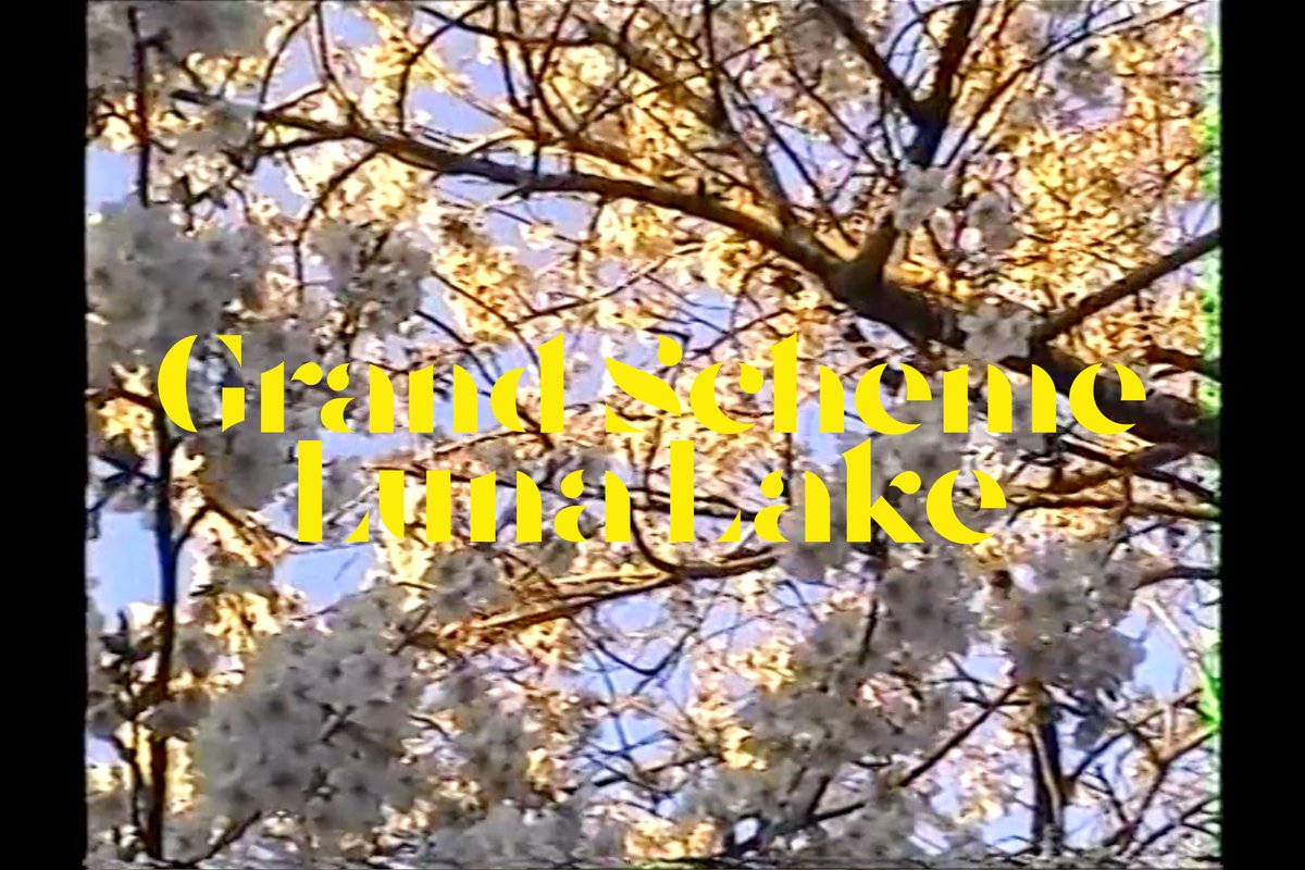 one week 📹 20.04.20 🥵