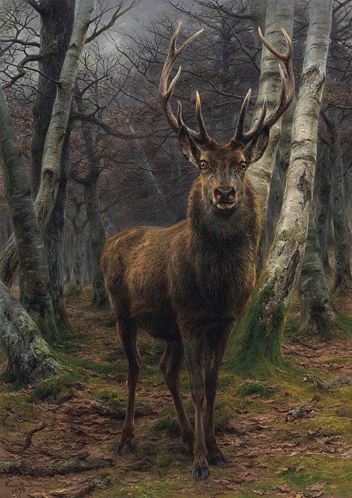 xavierdaniel999's tweet photo. “Rosa Bonheur  ” @RenzoMarichal https://t.co/QUStag2jqA