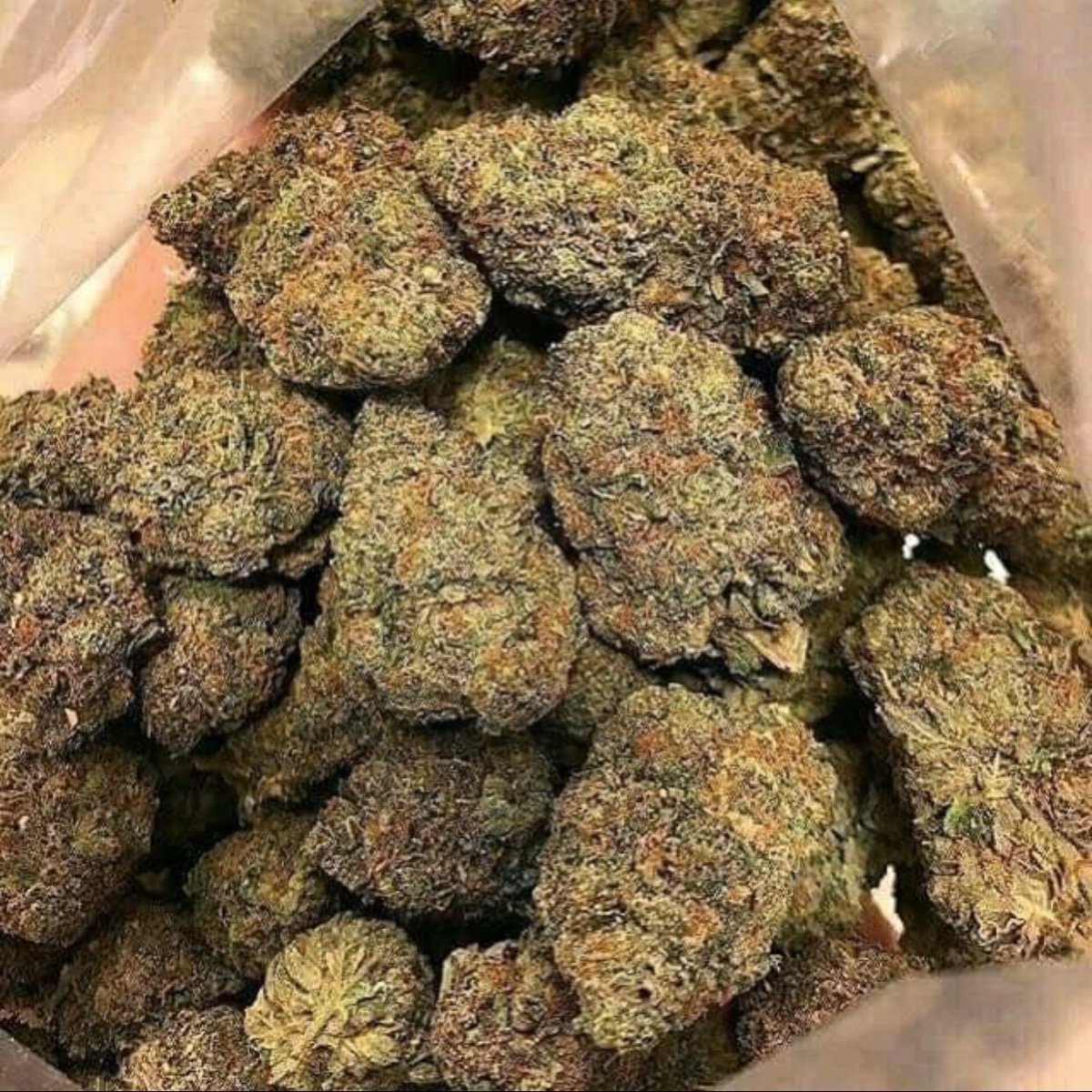 JhonPatto's tweet photo. @ACannabisQueen Pas de myto pas d'arnaque livraison discrète 🇫🇷🇫🇷🇫🇷 Telegram : @jhon_patto85
#420weed #weed #weedparis #Paris15 #pariscannabis #weedfrance #weedsmocksclub #cannabis #Hash #franceweed #WeedLovers https://t.co/rDTBoqa1J3