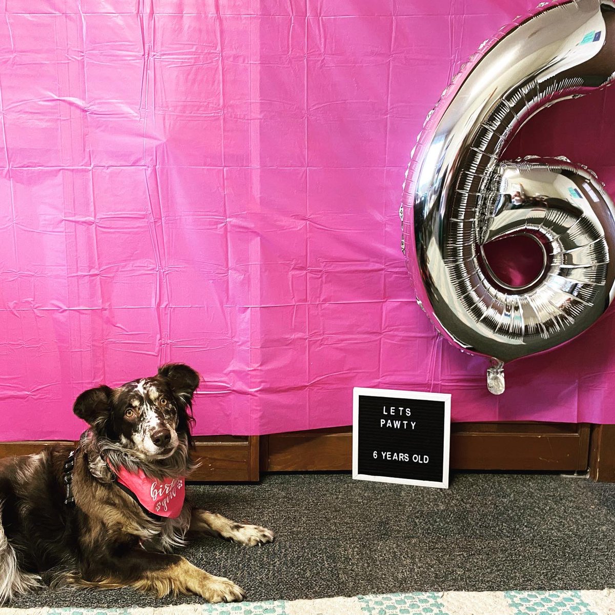 danimponder's tweet image. Happy birthday, my angel 💗