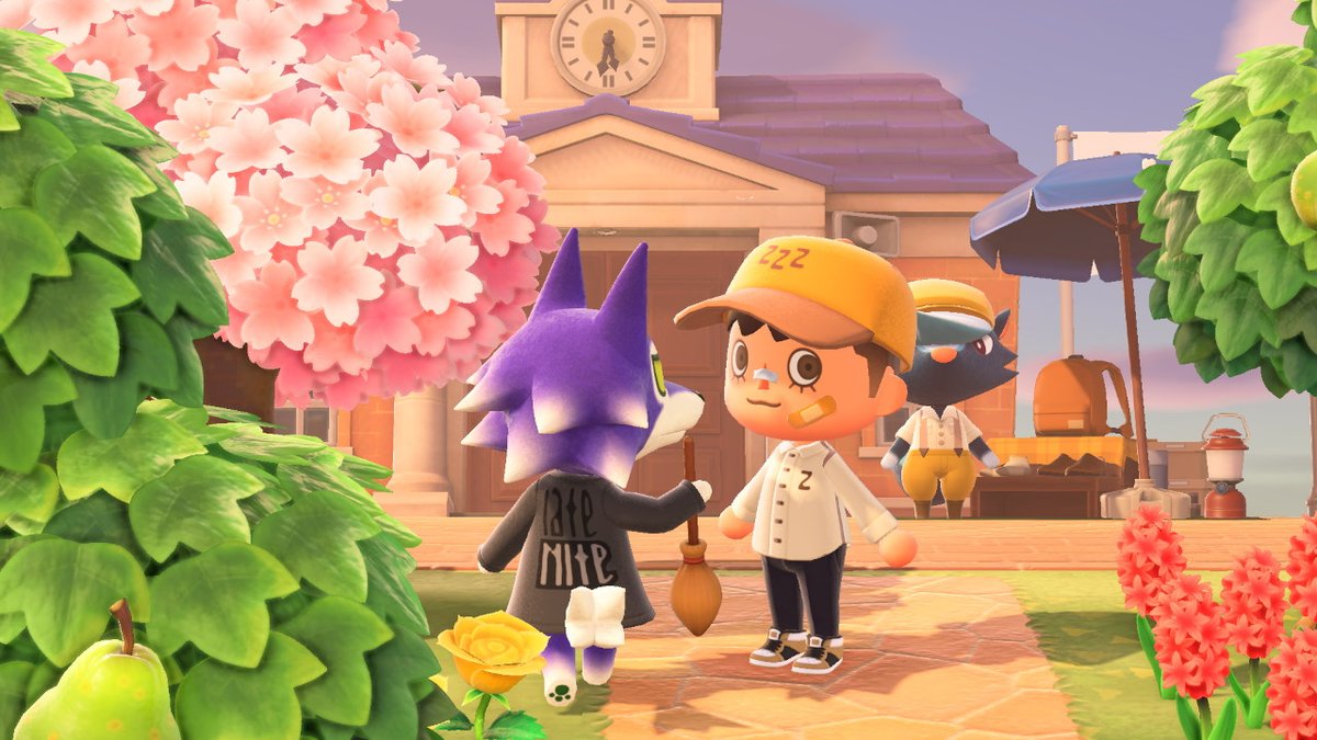 davis c. tweet media