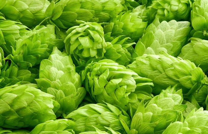 cervejah tweet media