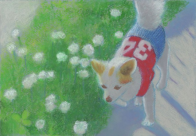 「犬 花」のTwitter画像/イラスト(古い順)｜3ページ目