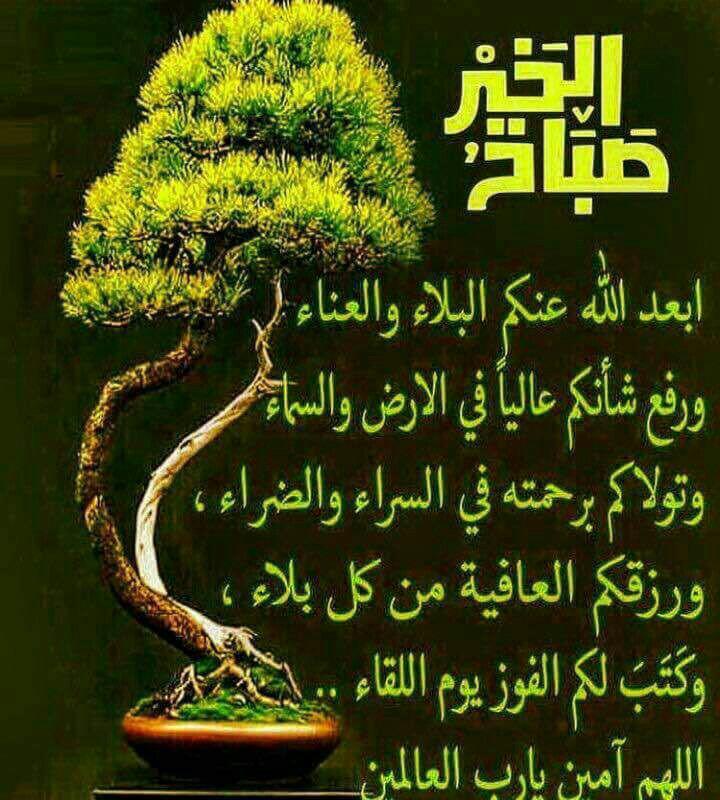 حمود العضيدان الشريف (@hamod_alodidan) on Twitter photo 