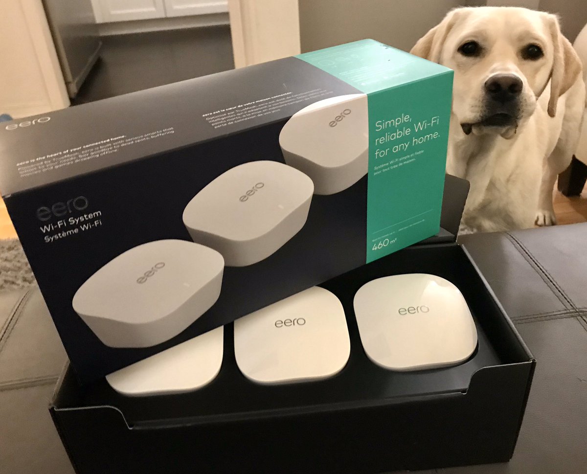 tolvet's tweet photo. .@geteero my assistant was quite interested in helping set up our new mesh Wi-Fi network at home this evening ๐ #wfh #geekdog https://t.co/d84FJ1Qcfe