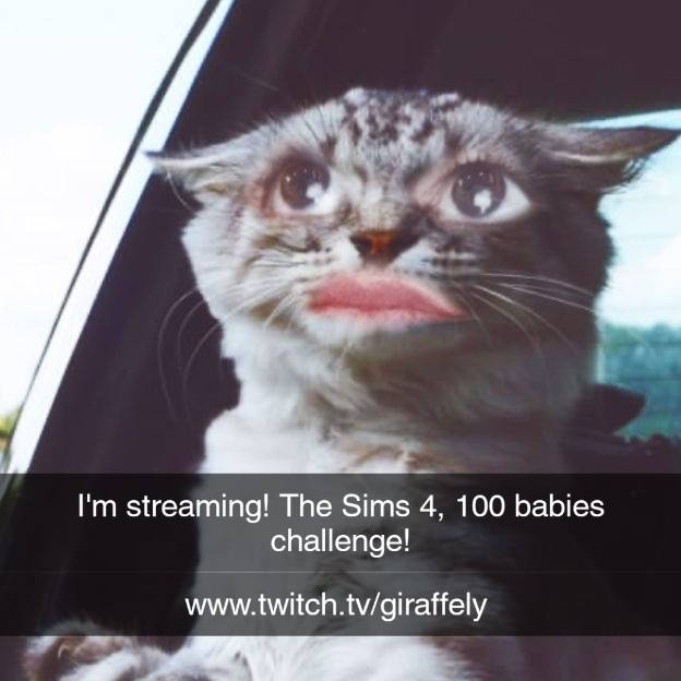 TwitchGiraffely's tweet photo. I'm live now!! Let's do this ❤

#twitch #twitchstreamer #live #sims #sims4 #quaranteam #quarantine #gamer #hangout https://t.co/T0wdPr3Qf0