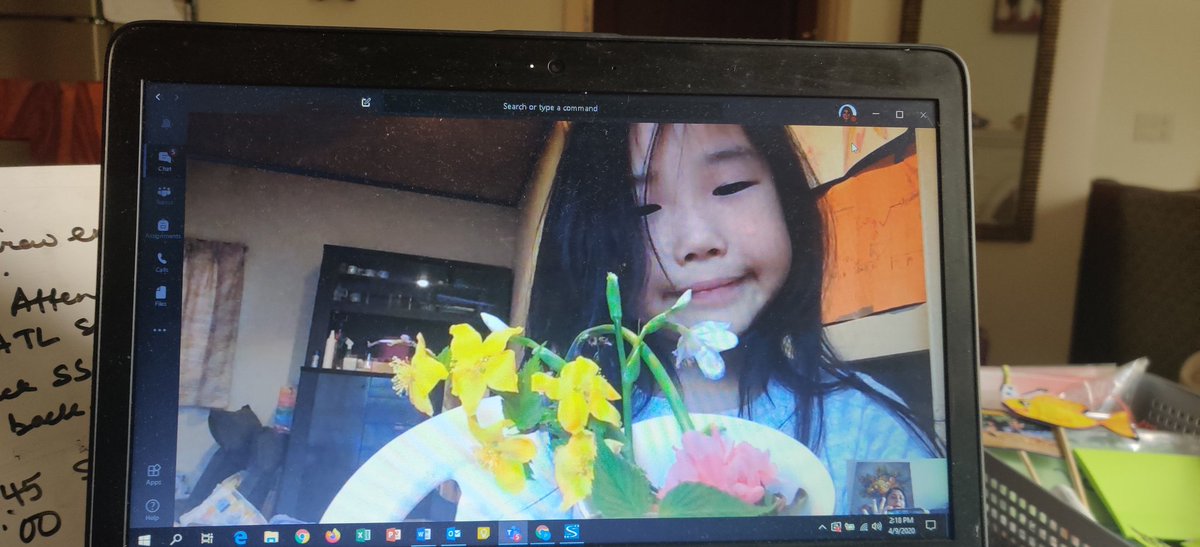 What brightens your day?When all the way from Japan your #ELL sends you wishes on #cherryblossom . A time for  #hanami # renewal # rejoicing and bonding with friends across the globe #EalTbs #TBS_Delhi