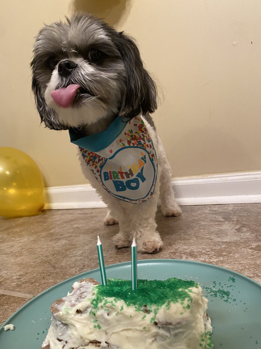 Oliver and his guests got grilled chicken and cake for dinner 