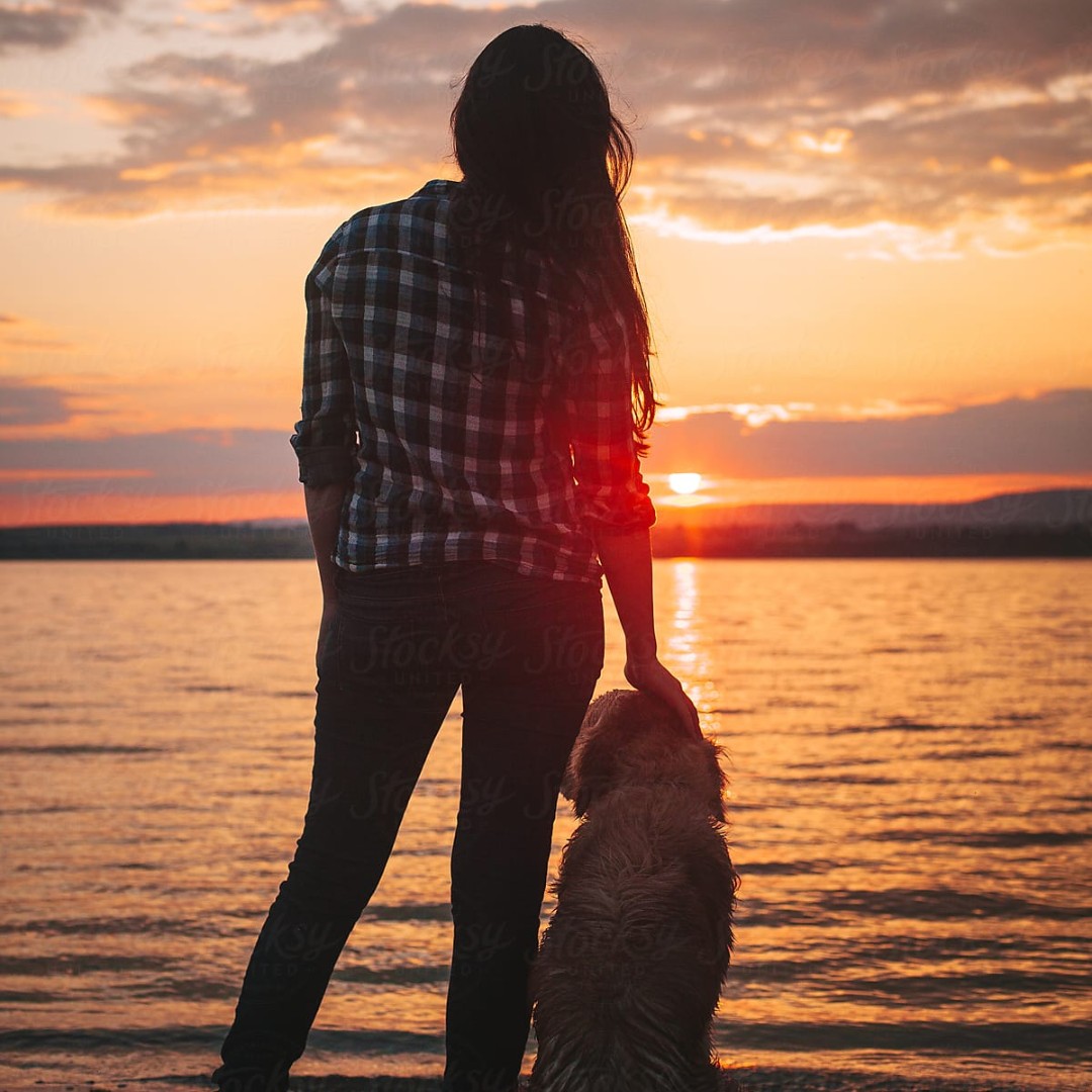 JeffRosenplot's tweet image. The official book of the quarantine. Hannah is the last person on Earth after a global pandemic. This is her first year alone. For #Kindle and the Kindle app on your phone. ow.ly/QdeE50zd1m5 #quarantine #books #reading #bookworm #YAreader #bookclub #goodread #IndieAuthor