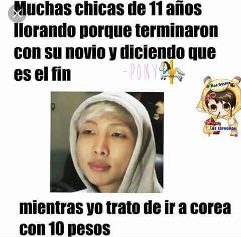 Memes Videos Y Frases De Bts 6 Wattpad