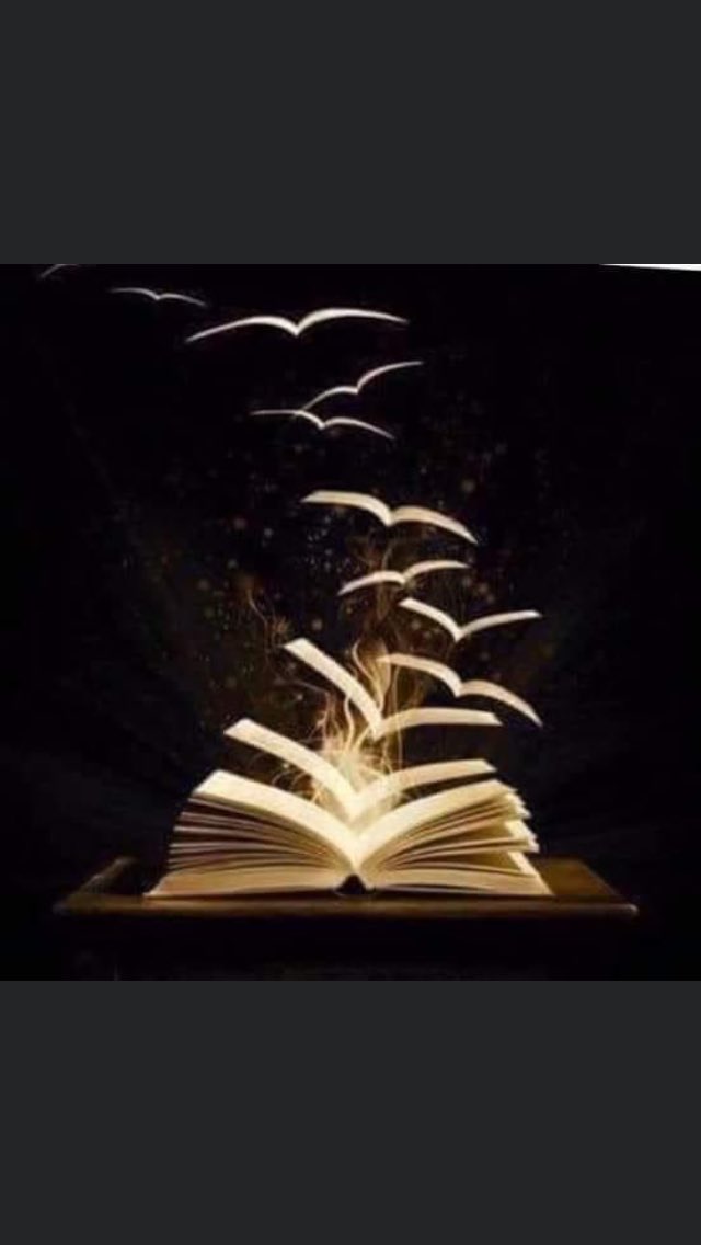faza1010's tweet photo. الذكريات الجميلة كسربِِ من الطيور
لايُمكنك القبض عليها "
ولكنِّ يمكنك الأستمتاع  بمرورها "

 #نجران_الآن https://t.co/Sxd0iepwq6
