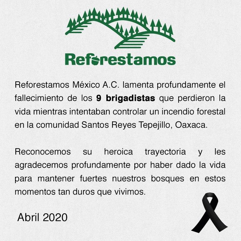ReforestamosMx's tweet photo. Lamentamos el fallecimiento de estos brigadistas. Gracias por sus heroicas trayectorias en favor de los bosques. https://t.co/5V2QM7F37R