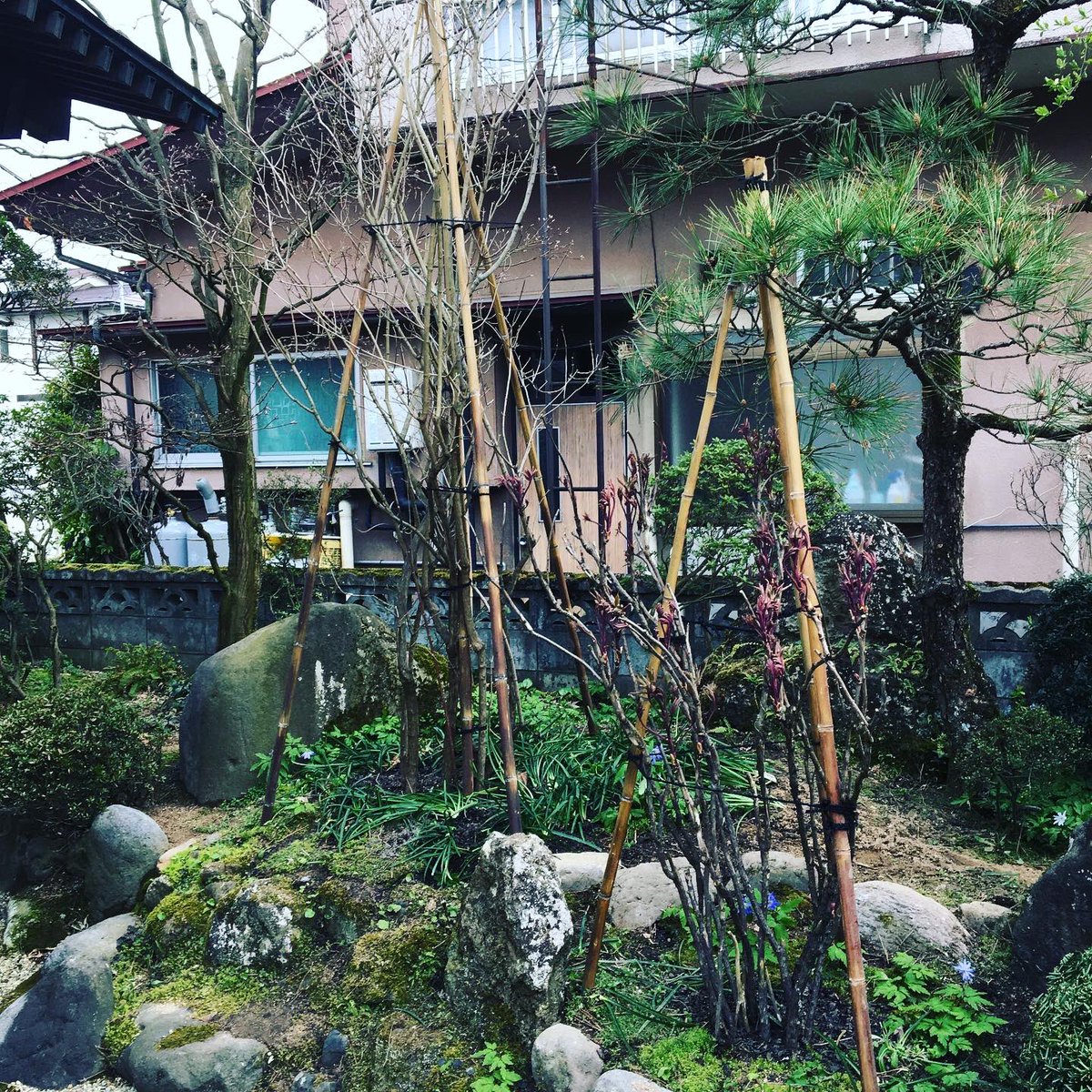成高造園 Na Twitteri ウツギ 牡丹の植栽 この前 撮り忘れた分です 山形 造園 植木屋 庭木 植木 植栽 庭 和風庭園 庭師 成高造園