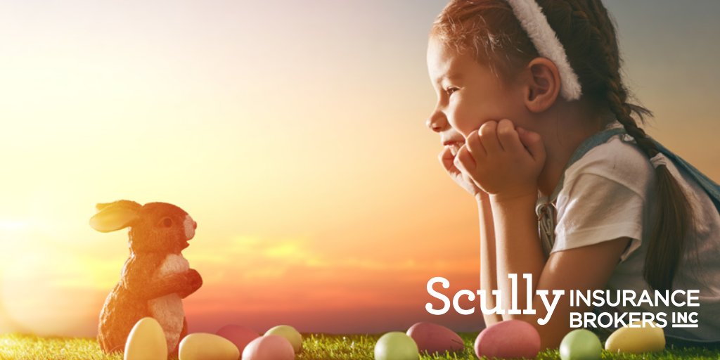 ScullyInsurance tweet picture