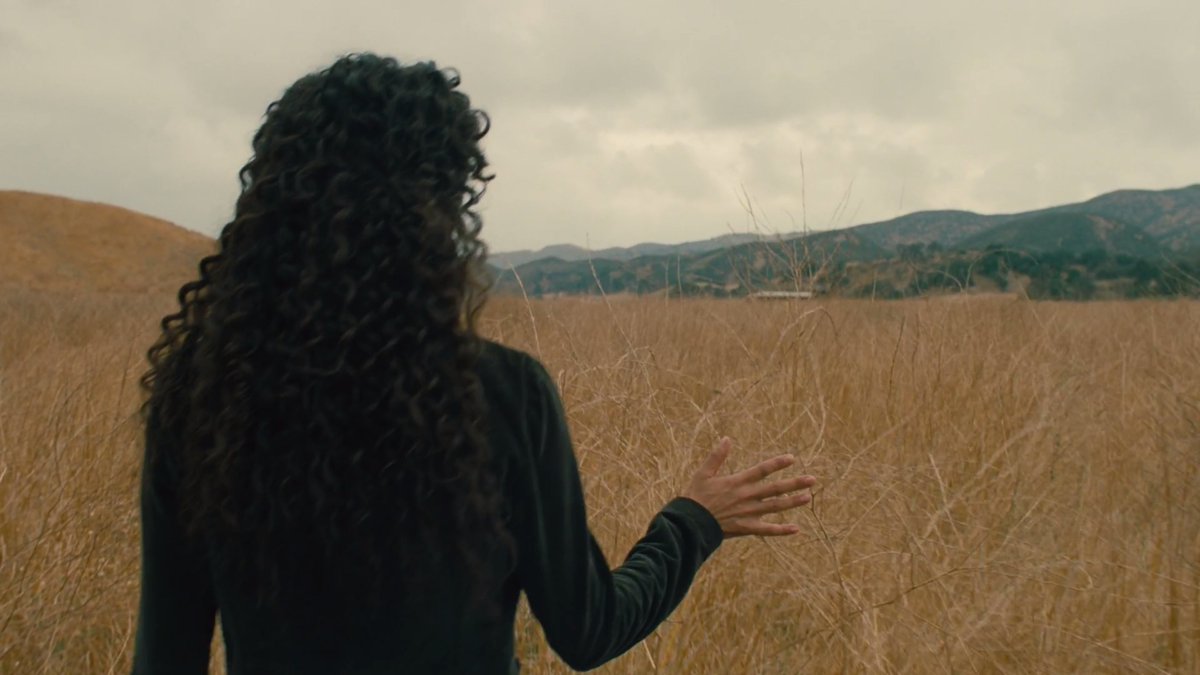 When Serac's hands are shown grazing the tall stalks of grass, it seemed like a clear callback to Maeve's memories of the homestead and her daughter.
