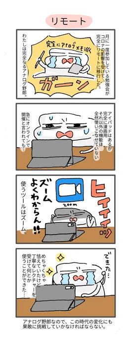 頑張ります!#どすこい日記 