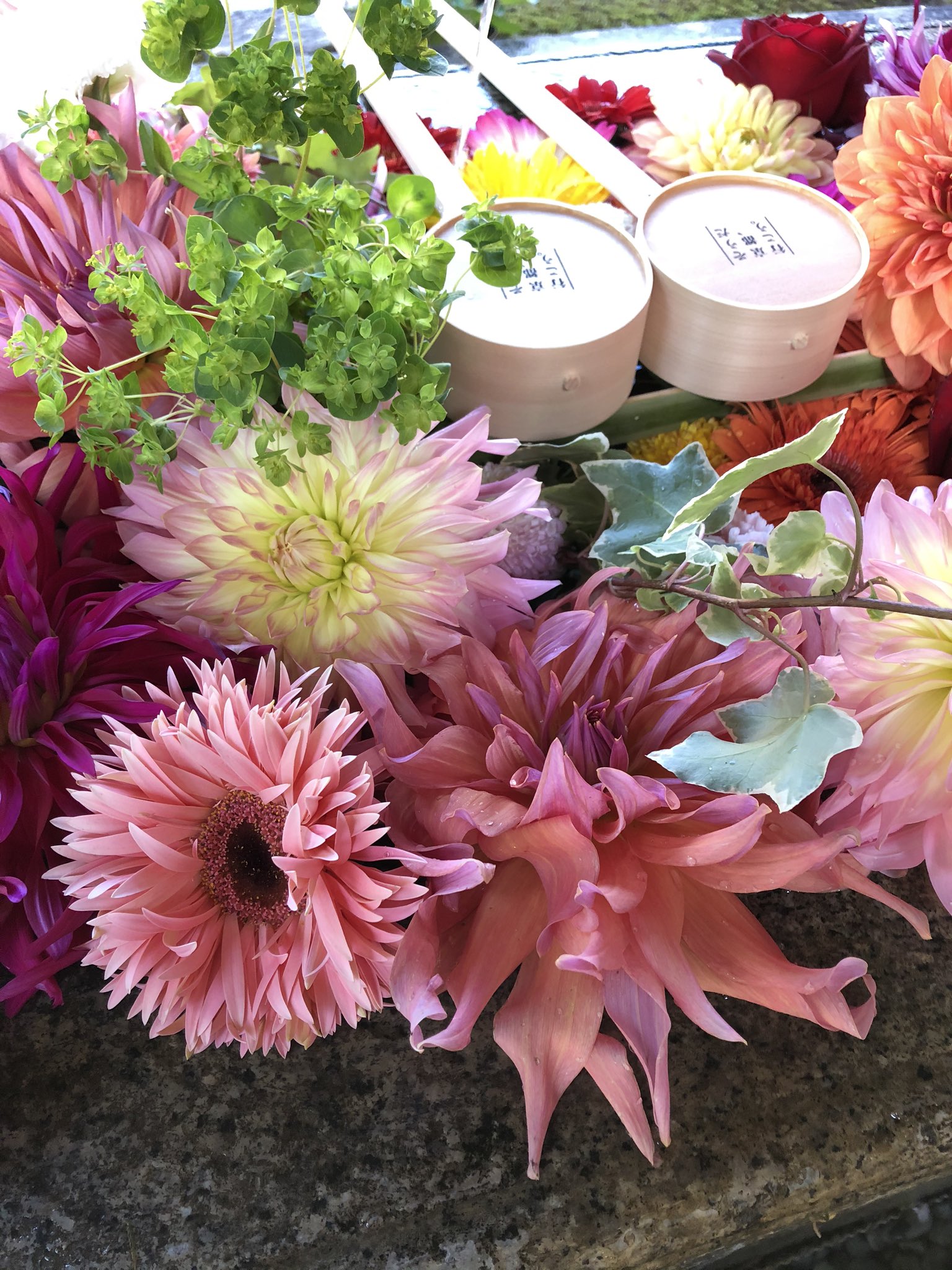 Uzivatel 勝林寺 Na Twitteru 本日は甘過ぎないピンクのダリアとガーベラがポイントです ピンク 色を目にすることで心が柔らかくなったり リラックス作用があったりと精神の安定効果があるらしいです 写真をみて皆様の心が和んで頂けましたら幸いです 京都 勝