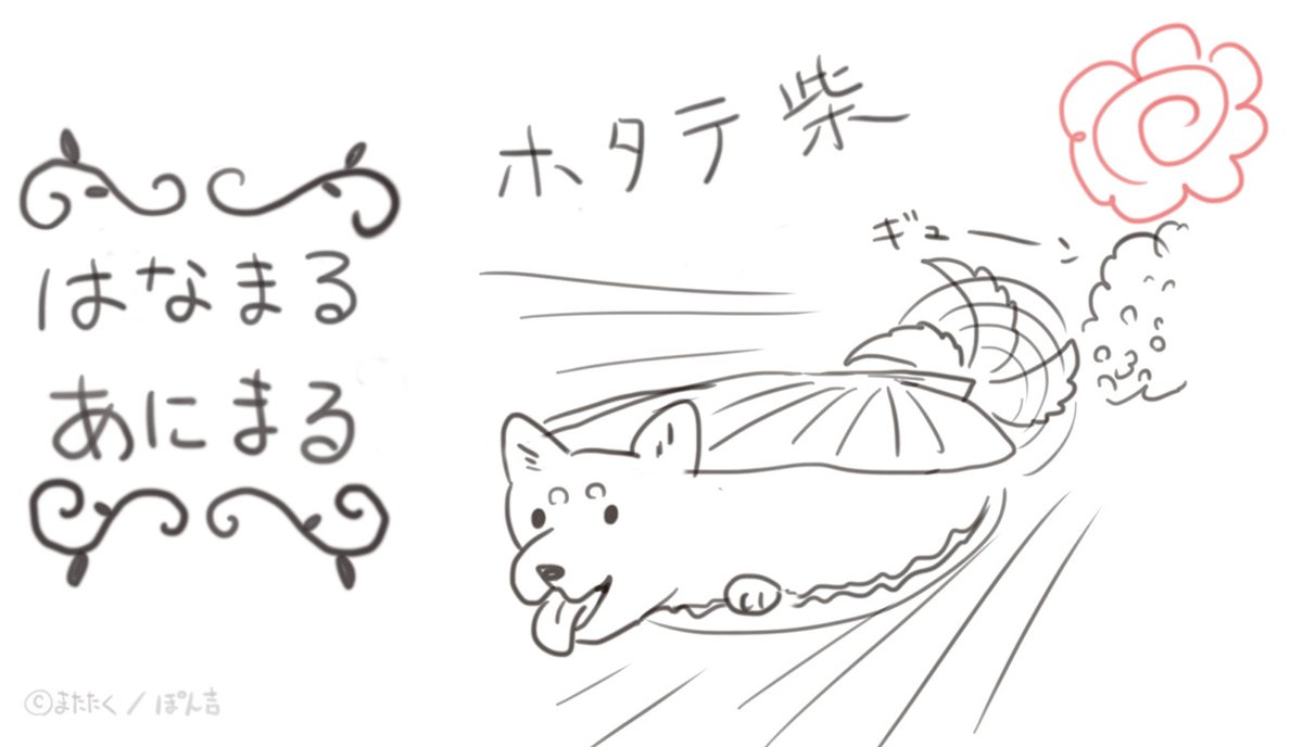ホタテ柴 