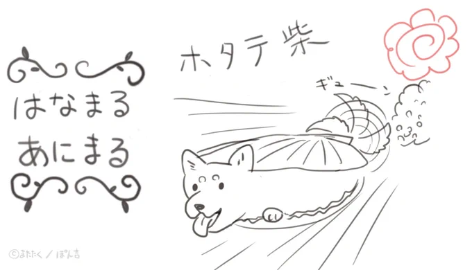 ホタテ柴 
